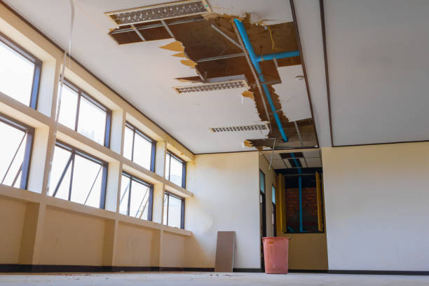 Best 24/7 water damage repair  in Clatskanie, OR