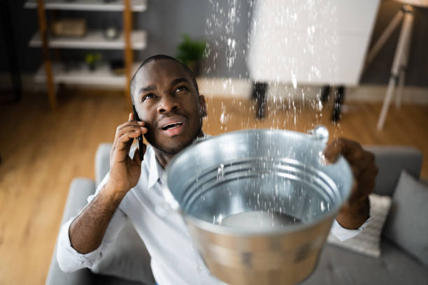 Best Water damage restoration insurance claims  in Clatskanie, OR