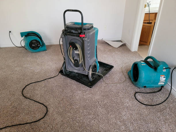 Best Flood restoration services  in Clatskanie, OR