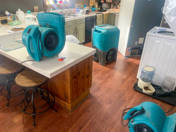  Clatskanie, OR Water damage restoration Pros