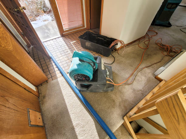 Best Water damage restoration cost  in Clatskanie, OR