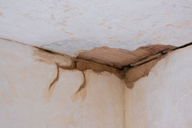 Best Commercial water damage restoration  in Clatskanie, OR