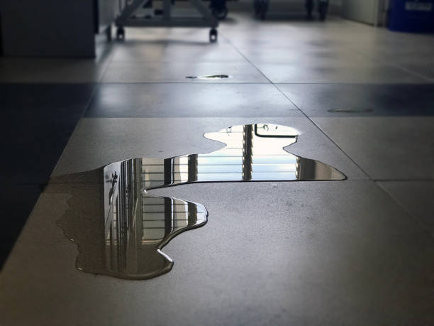 Best 24-hour water damage restoration  in Clatskanie, OR