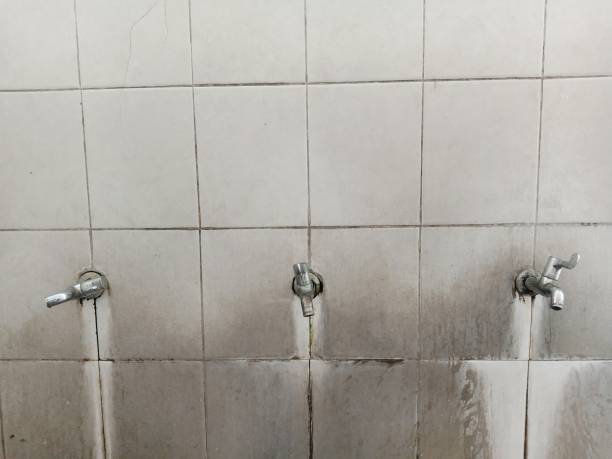 Best Professional water damage repair  in Clatskanie, OR
