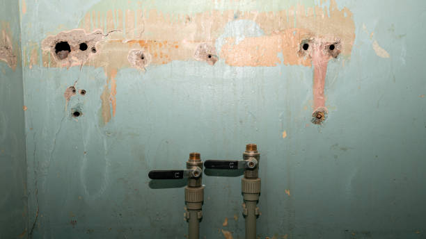 Water damage restoration mold remediation in OR