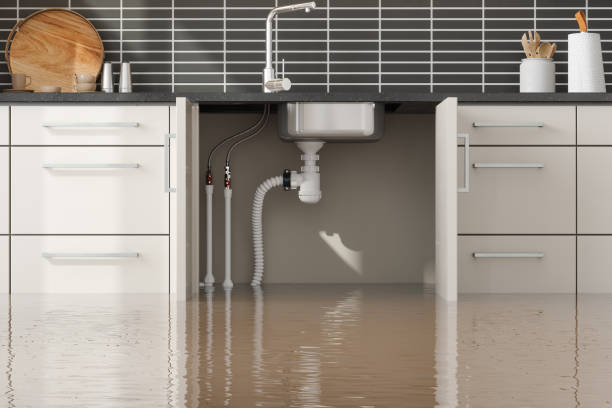 Best Mold removal after water damage  in Clatskanie, OR