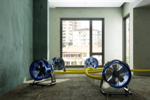 Best Water damage restoration mold remediation  in Clatskanie, OR